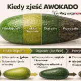 Jak wybrać idealne awokado do guacamole? Prosty przewodnik
