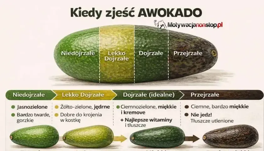 Jak wybrać idealne awokado do guacamole? Prosty przewodnik
